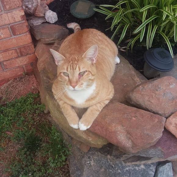 Profile Picture of Cathy Poole (@catspoole) on Poshmark