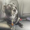 Profile Picture of Danny Masterson (@danny.masterson6) on Tiktok