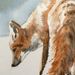 Profile Picture of Drew Van Fossen (@drewvanfossen) on Pinterest