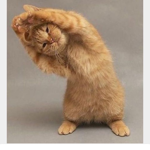 Profile Picture of Bashira Haqq (@shakryrol) on Poshmark