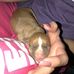 Profile Picture of Michael Rozier (@michael.rozier.1675) on Facebook
