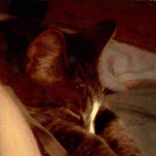 Profile Picture of Jess Gallaugher (@jess.gallaugher) on Facebook