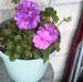 Profile Picture of Maricela Solache (@Maricela-Solache) on Facebook