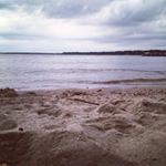 Profile Picture of Michelle “Misha” Digman (@mishaexplores) on Instagram