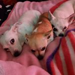 Profile Picture of Craig Newland (@craig.newland.16) on Instagram