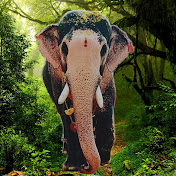 Profile Picture of Sowmya Shetty (@sowmyashetty5550) on Youtube