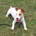 Profile Picture of James Code (@olandsir) on Instagram