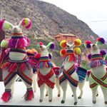 Profile Picture of June Kim (@juneboykim) on Instagram