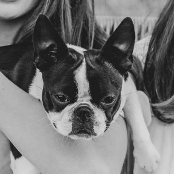 Profile Picture of Jackie Mckee (@jackiestoddard) on Poshmark