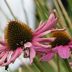 Profile Picture of Michael Bean (@michaelbean54) on Flickr