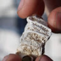 Joseph Brandow - Quora Profile Picture of Joseph Brandow (@joseph-brandow) on Quora