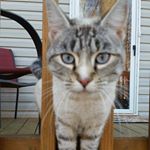 Profile Picture of Janice Bailey (@janicebailey_66) on Instagram