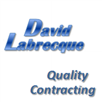 Profile Picture of David Labrecque (@LabrecqueDavid) on Twitter