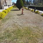 Profile Picture of Irving Javier (@Irving-Javier) on Facebook