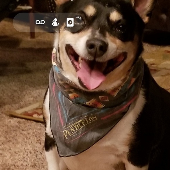 Profile Picture of Jean Chapman (@jrchapman458) on Poshmark