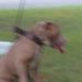 Profile Picture of Calvin Riggs (@calvin.riggs.735) on Facebook