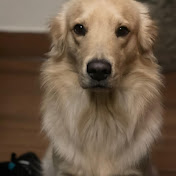 Profile Picture of Arely Castillo (@ArelyCastillo-lz5ry) on Youtube