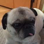 Profile Picture of Sam Knowles (@awesome_page666) on Instagram