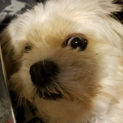 Profile Picture of David Marvin (@dmarvin_47) on Twitter