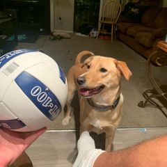 Profile Picture of Gregory Farrow (@@gregoryfarrow) on Tiktok