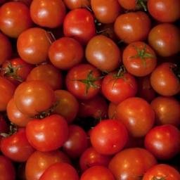 Profile Picture of Walmestone Growers (@WalmestoneG) on Twitter