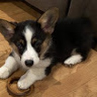 Profile Picture of Ariana Walters (@ariana-walters-4) on Quora