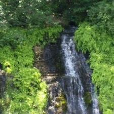 Profile Picture of Sean Kimbrel (@grizzly3955) on Twitter