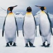 Profile Picture of Justin Werth (@justinwerth5716) on Youtube