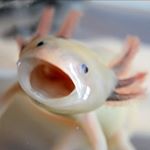 Braden + Jake - Instagram Profile Picture of Braden + Jake (@huckin_shmuckin_humor) on Instagram