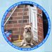 Profile Picture of Christopher Parsley (@christopher.parsley.779) on Facebook