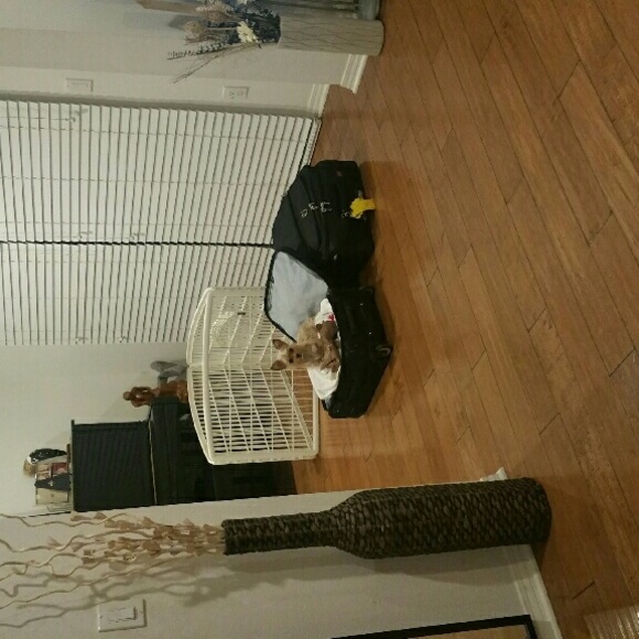 Profile Picture of Pui Chan (@pui414) on Poshmark