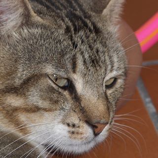 Profile Picture of Alessandra Eynard (@alessandra.eynard) on Facebook