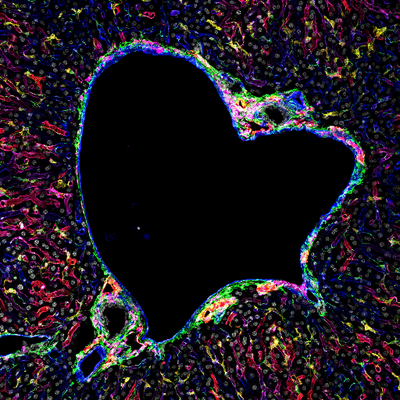 Martin Guilliams - Twitter Profile Picture of Martin Guilliams (@MartinGuilliams) on Twitter