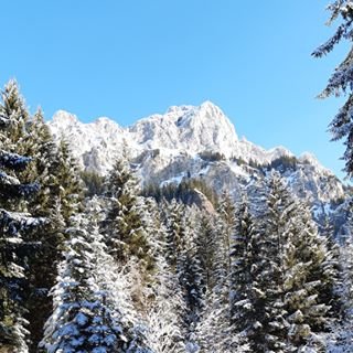 Profile Picture of Raymond Folzenlogel (@raymond.folzenlogel) on Facebook