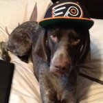 Profile Picture of Brandon Colborne (@wolvorine3504x4) on Instagram