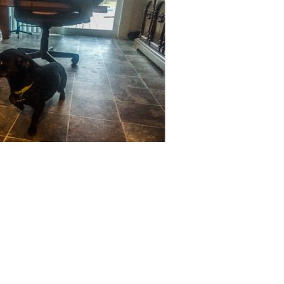 Profile Picture of Zach Strebeck (@strebeck_zach) on Twitter