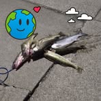 Profile Picture of Kevin Keesler (@kevin.keesler.334) on Facebook