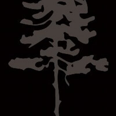 Profile Picture of Stephen Nesci (@Nesciland) on Twitter