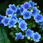 Profile Picture of Miriam Duque Castaño (@miriamduquecastano) on Instagram