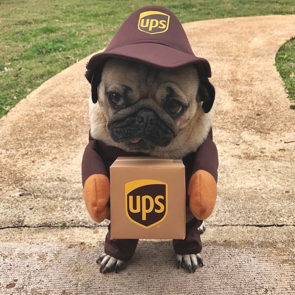 Profile Picture of Haley Polane (@hjpolane) on Poshmark