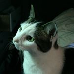 Greg Beeman - Instagram Profile Picture of Greg Beeman (@everettscoott) on Instagram