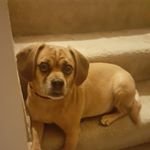 Profile Picture of Christopher Seidler (@christopherseidler) on Instagram