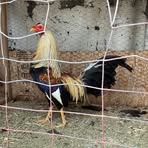 Profile Picture of Joshua Naranjo (@joshua.naranjo.578515) on Facebook