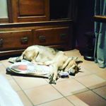 Profile Picture of max.marquardt (@max2007.marquardt) on Instagram