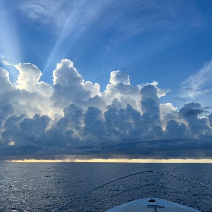 Profile Picture of David Barbany Canaleta (@dbarbanyc) on Tiktok