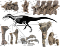Profile Picture of Asfaltovenatoron Wikipedia
