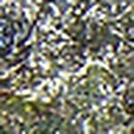 Profile Picture of Mike Sandoval (@Quinto Family Reunion) on Flickr