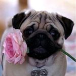 Ana  Luiza Coleto Rodrigues - Instagram Profile Picture of Ana  Luiza Coleto Rodrigues (@analuizacoletorodrigues) on Instagram