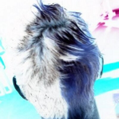 Profile Picture of Peter Philipp (@das__peter) on Twitter