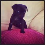 Profile Picture of Sean Mccreedy (@seanmccreedy) on Instagram